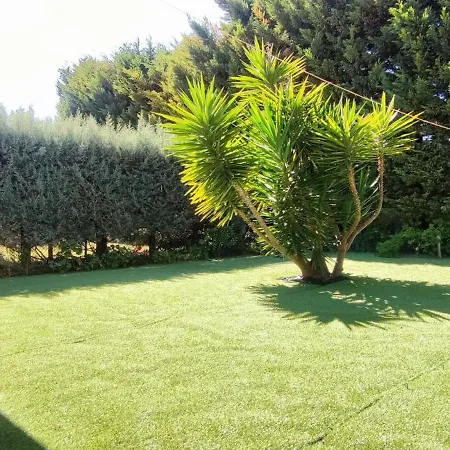 Tabarca - Con Jardin Y Piscina Comunitaria
